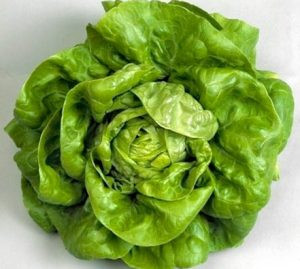 [ENC] Enciam Cabdell (0,2kg)